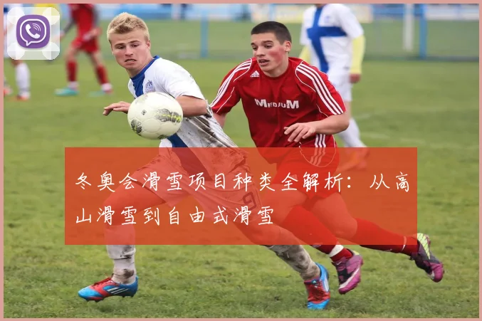 冬奥会滑雪项目种类全解析：从高山滑雪到自由式滑雪