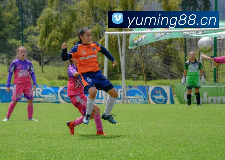 女超联赛积分榜：争冠保级形势分析，最新赛况深度解读